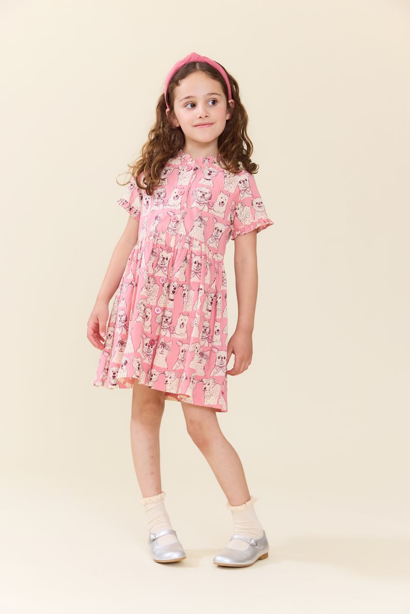 Autumn Dress