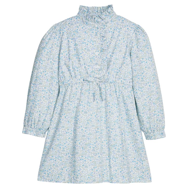 Ruffled Shirt Dress