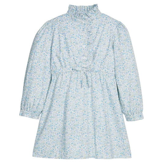 Ruffled Shirt Dress