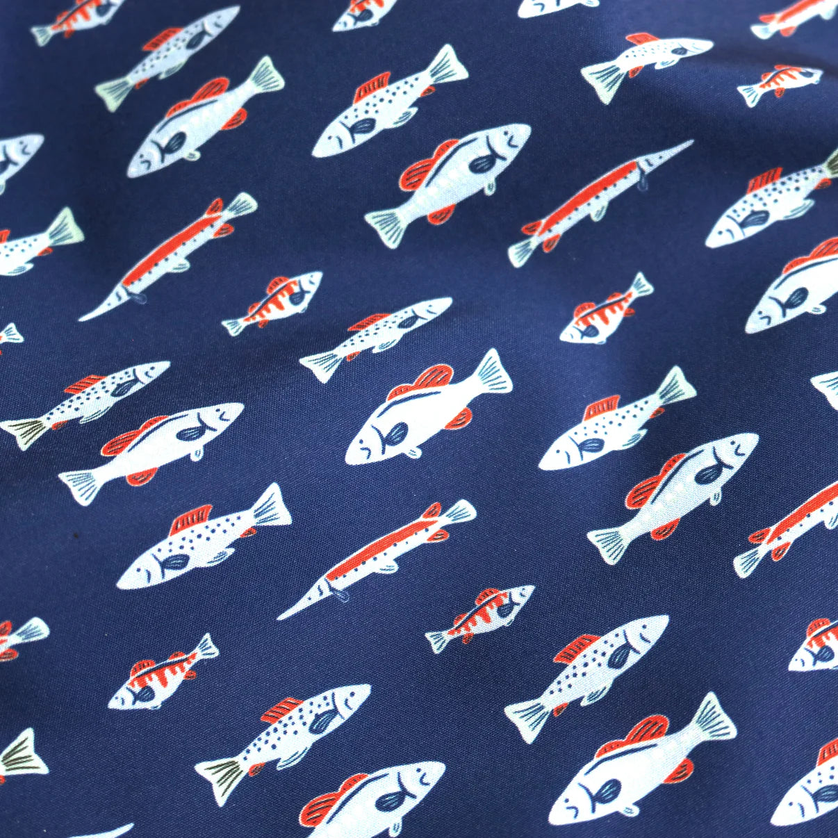 BQ Swim Trunks