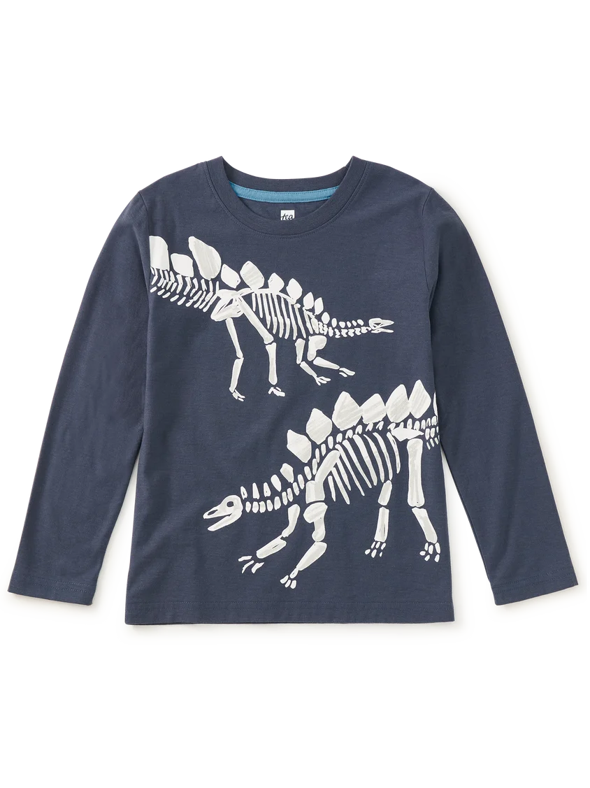 Fossil Stegosaurus Graphic