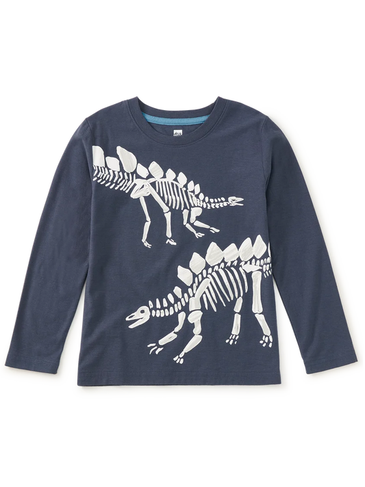 Fossil Stegosaurus Graphic