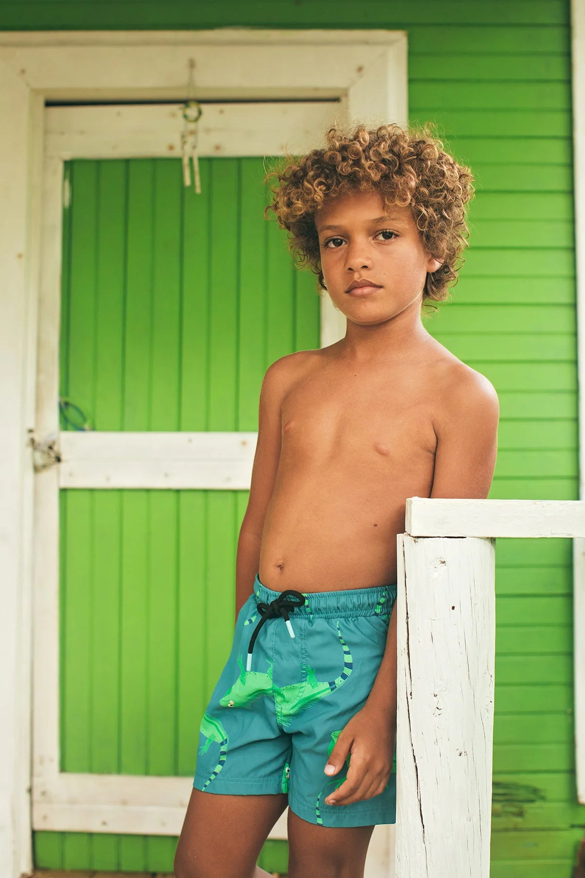Swimshorts
