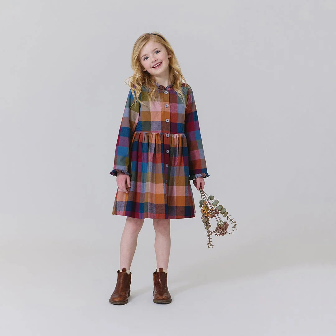 Autumn Dress